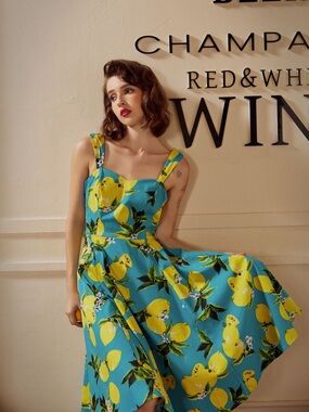 Womens Midi Dress Hearts & Roses 14 Blue Yellow Vintage Style Lemon Pinup Swing